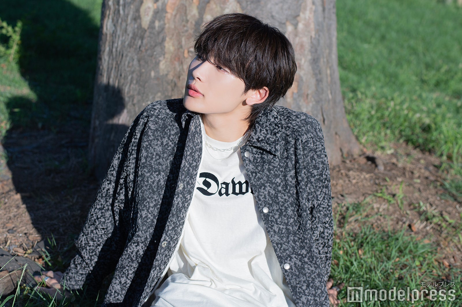 NOA（C）モデルプレス