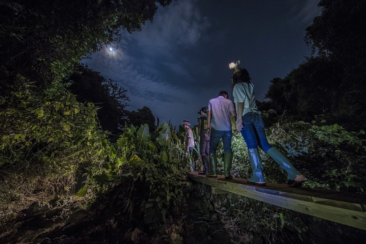 那覇から車で30分、夜の沖縄ジャングルツアー「ウワーガージャングル」で冒険の旅へ