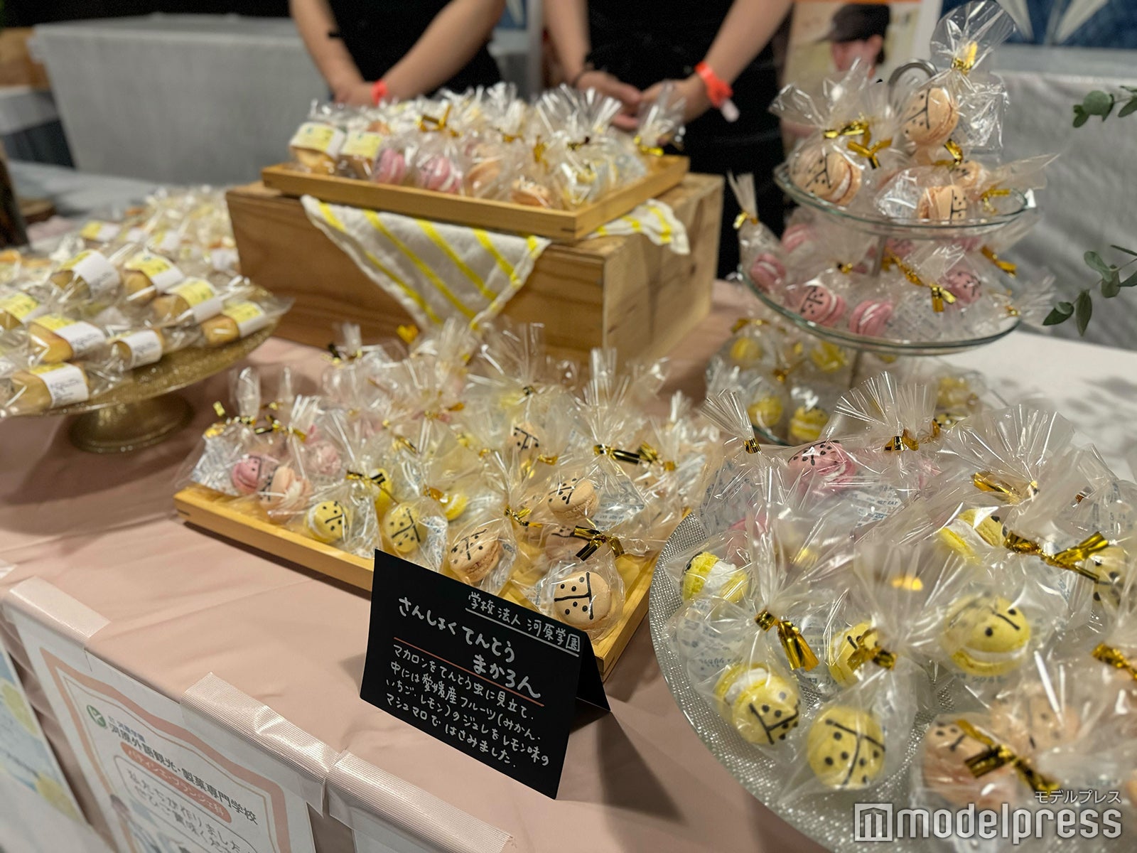 「TGC松山2024」ケータリング（C）モデルプレス