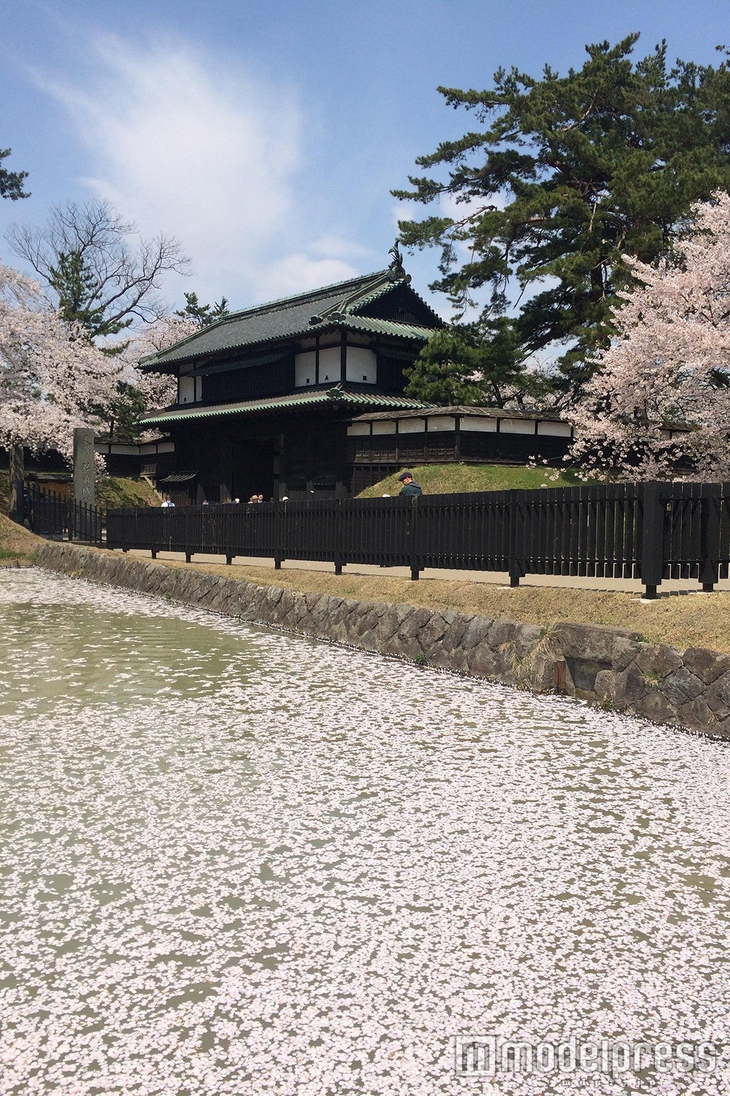 追手門前の花筏／画像提供：弘前観光コンベンション協会