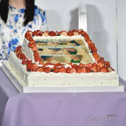 芦田愛菜へ贈られた巨大バースデーケーキ（C）モデルプレス
