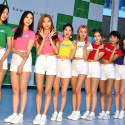 モデルプレス - MOMOLAND(モモランド)、日本ライブで一時騒然 ファン興奮でハプニング