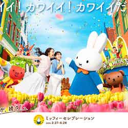 ミッフィーセレブレーション/提供画像
