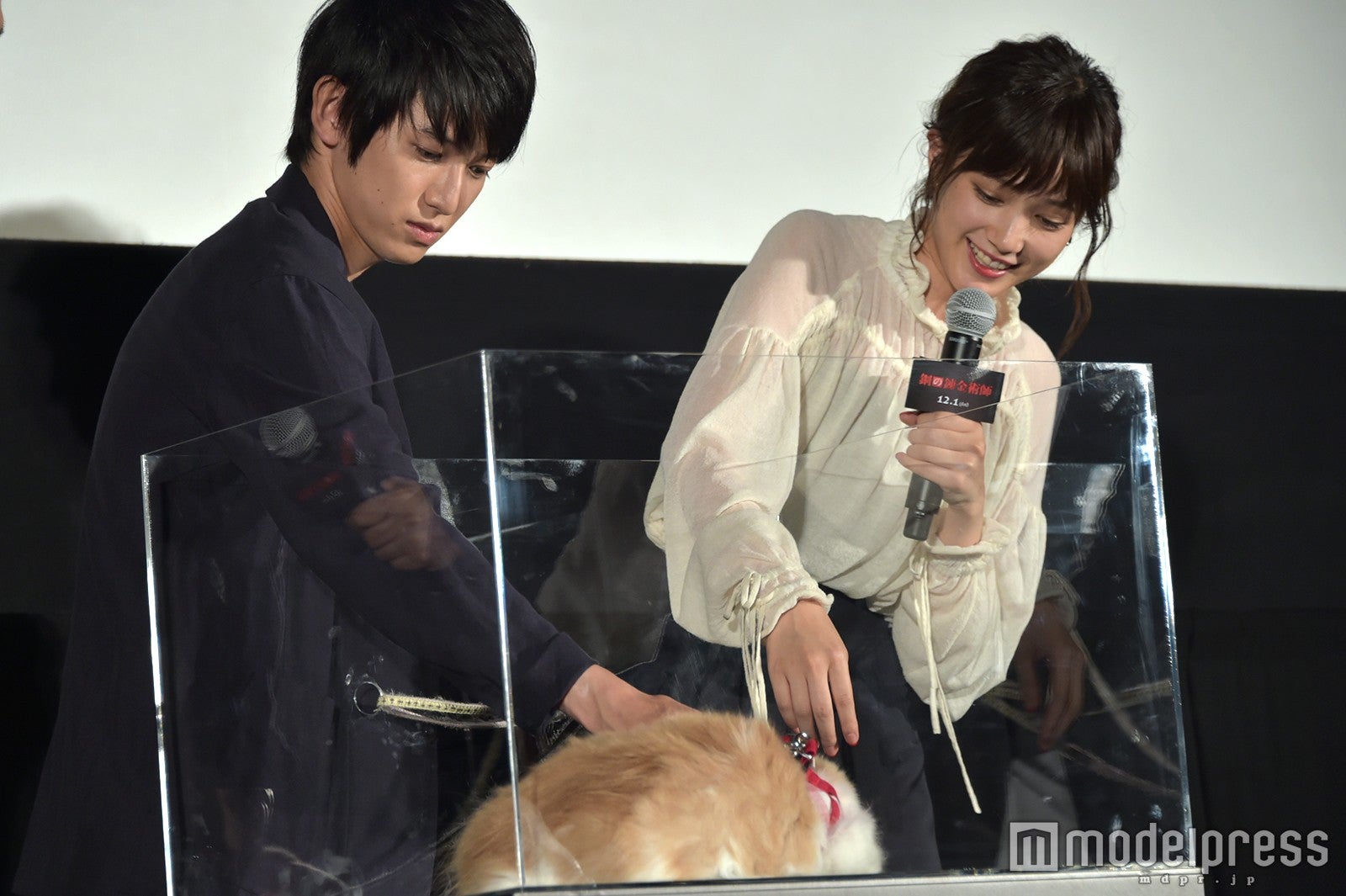 本郷奏多、本田翼 （C）モデルプレス