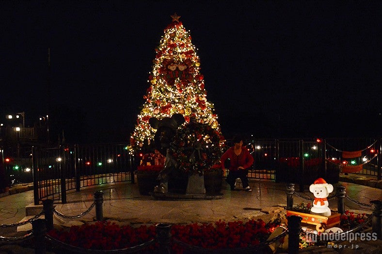 アメリカンウォーターフロントのケープコッドのツリー（夜）