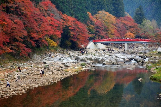 見なきゃ損！　秋の旅行の費用を安く抑えるコツ6つ