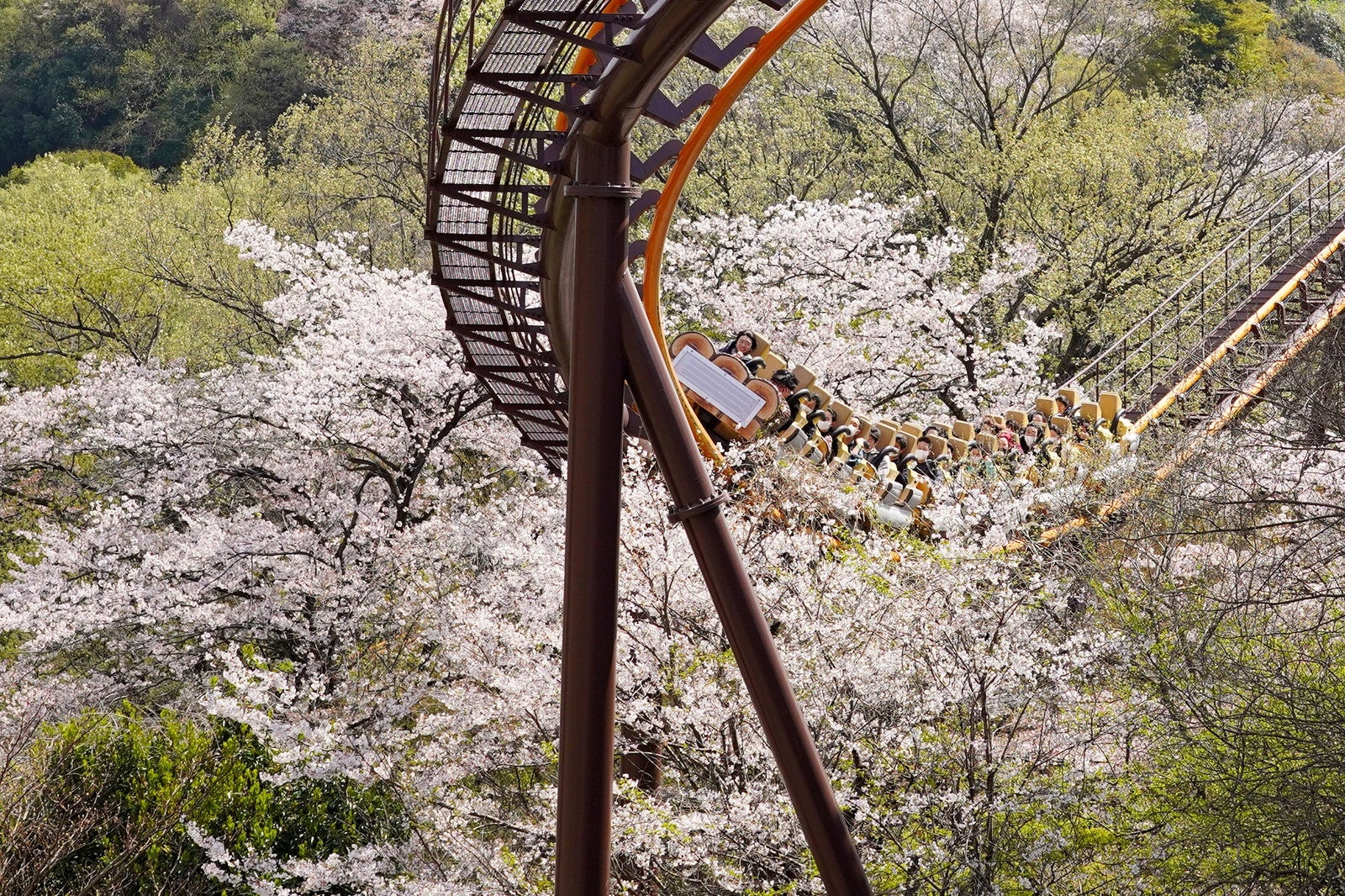 バンデット／提供画像