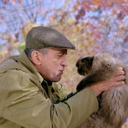 こんニャに芸達者!ハリウッドも魅了した猫アクターたち【猫の日企画】