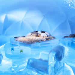 氷のホテル／画像提供：星野リゾート