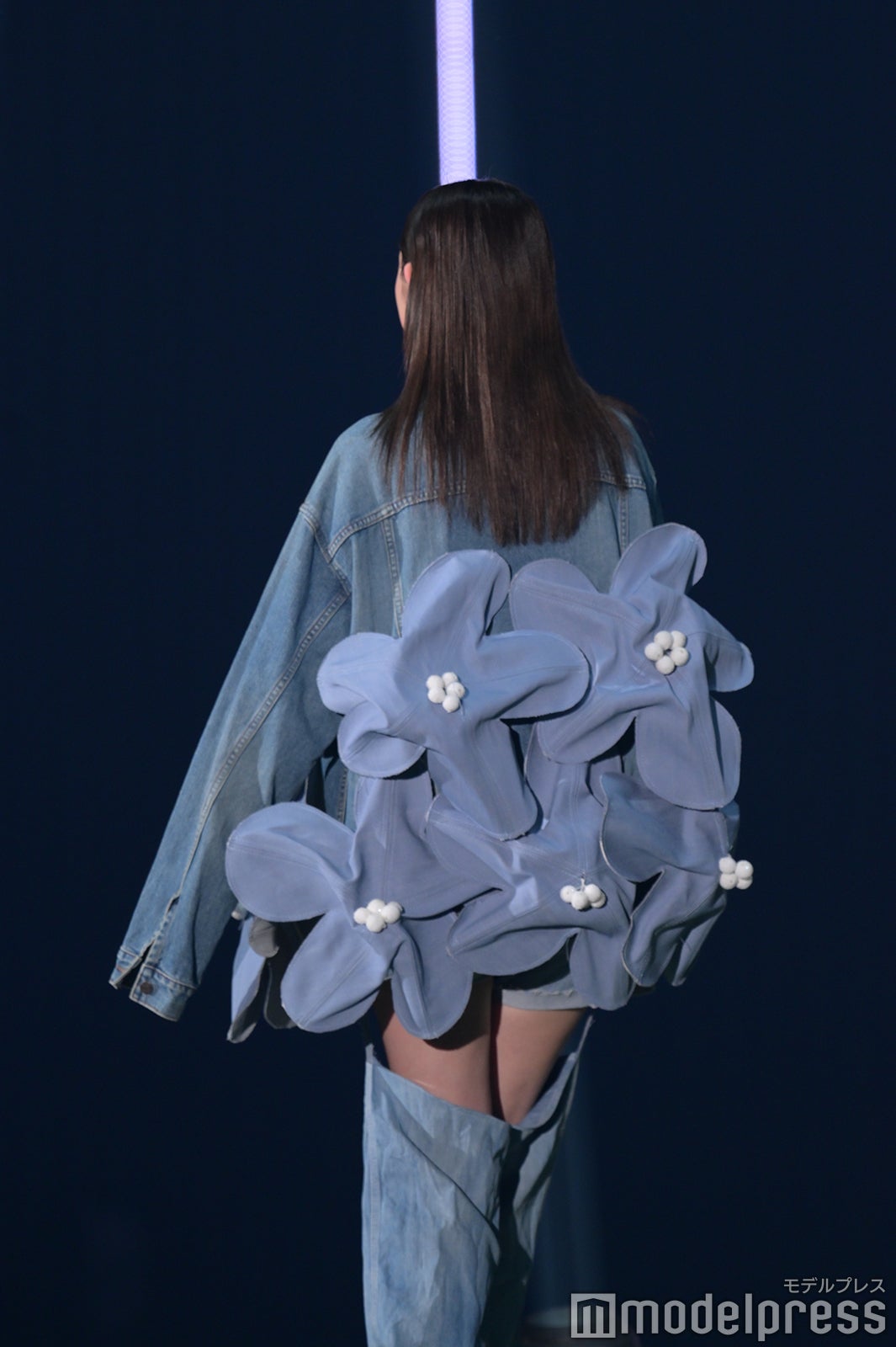 （C）モデルプレス