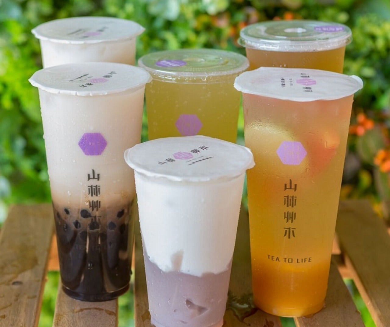 山林艸木／画像提供：フークル