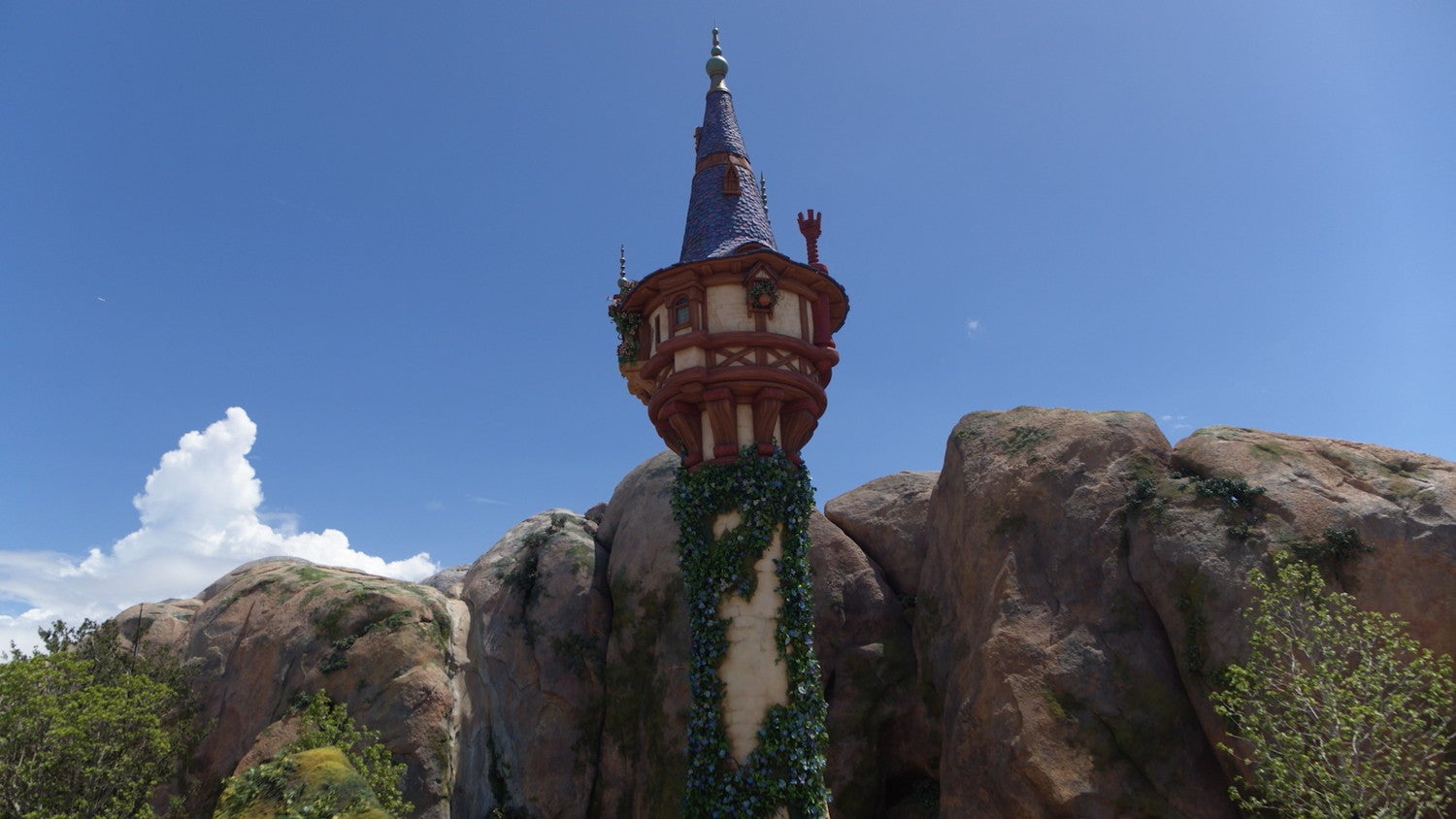 「ラプンツェルの森」工事現場の様子（C）Disney