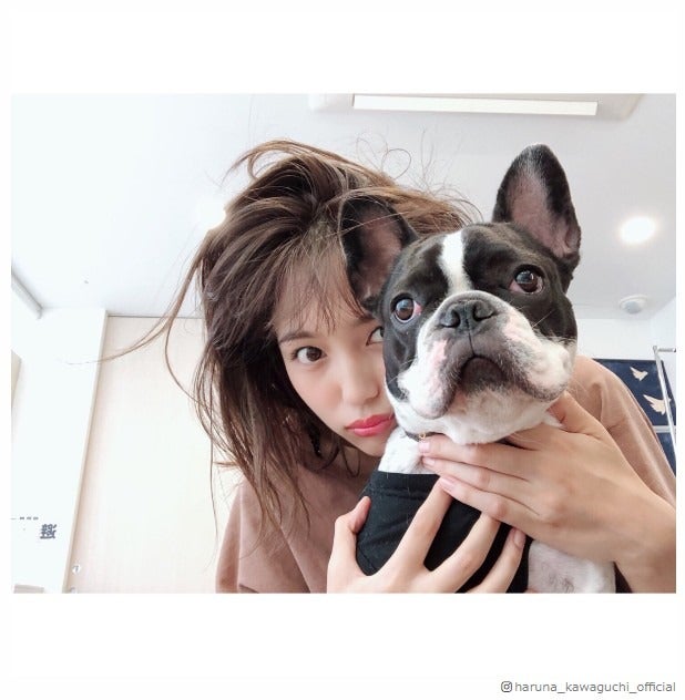 川口春奈のヘアスタイルにツッコミ殺到「斬新」「どうしてこうなった？」