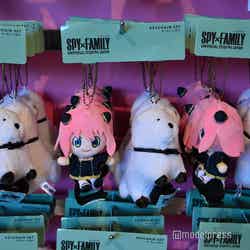 (C)モデルプレス