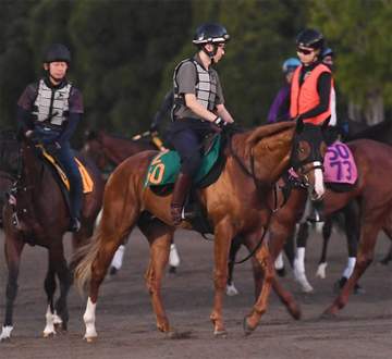 【新馬戦】ジップスパーク 美浦W3頭併せで軽快な動き 半姉が桜花賞3着のジッピーチューン 中舘師「いい走りをする」
