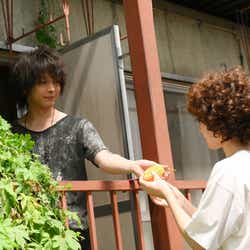 モデルプレス - 黒木華主演ドラマ「凪のお暇」最終話あらすじ
