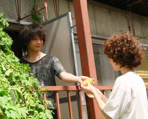 黒木華主演ドラマ「凪のお暇」最終話あらすじ