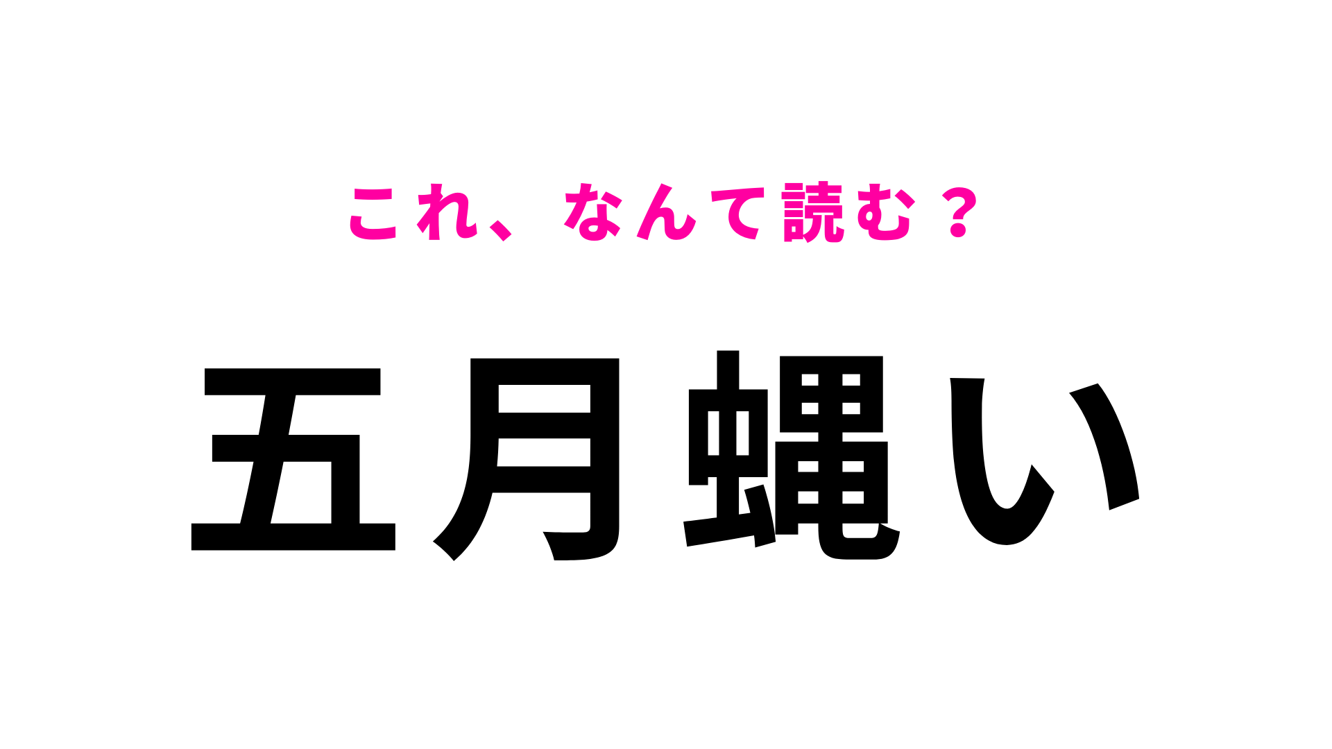 【漢字クイズ】「五月蝿い」はなんて読む？「う」から始まる形容詞です！
