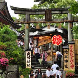 地主神社 by yellow_bird_woodstock