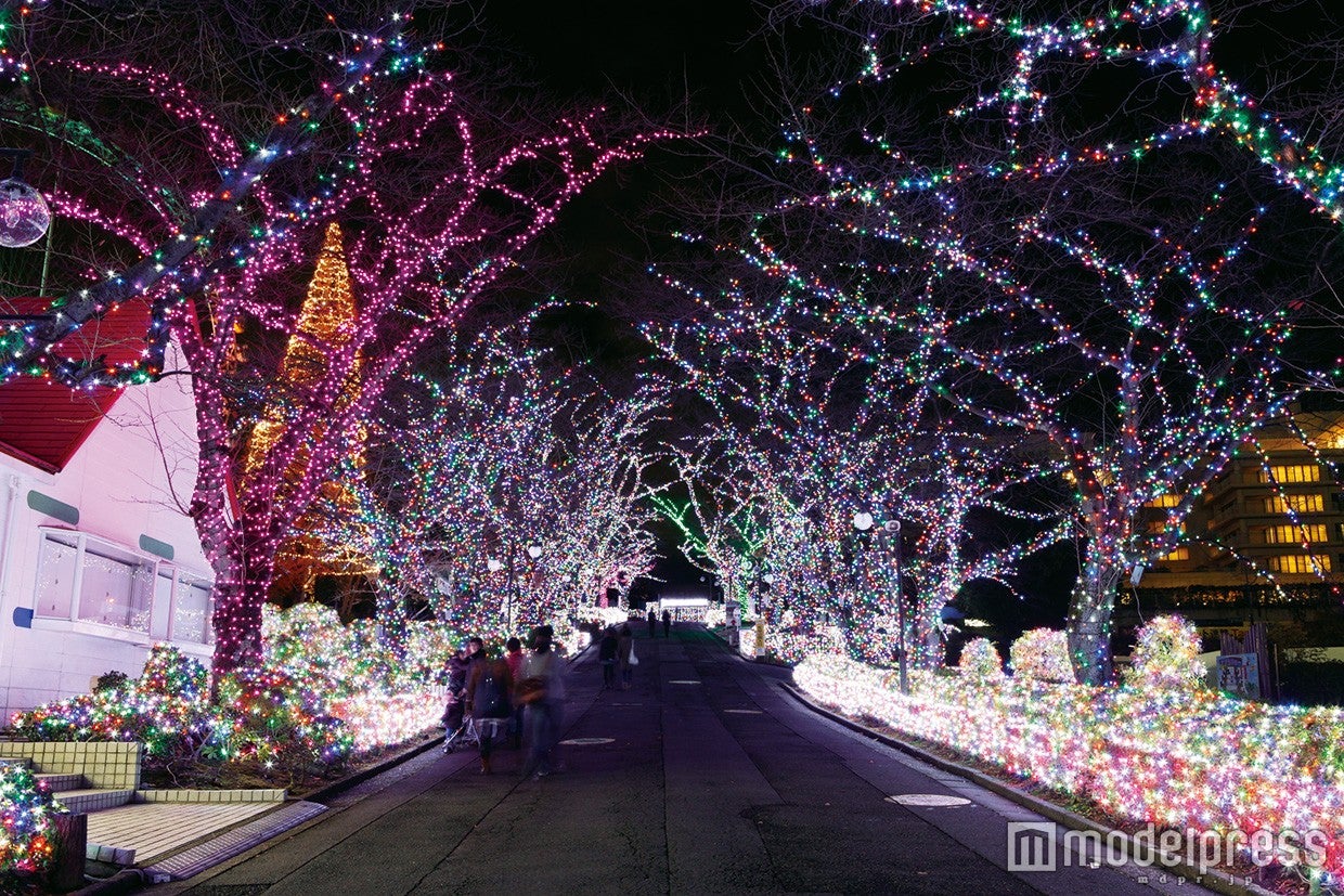 ジュエルミネーション昨年の様子／画像提供：よみうりランド