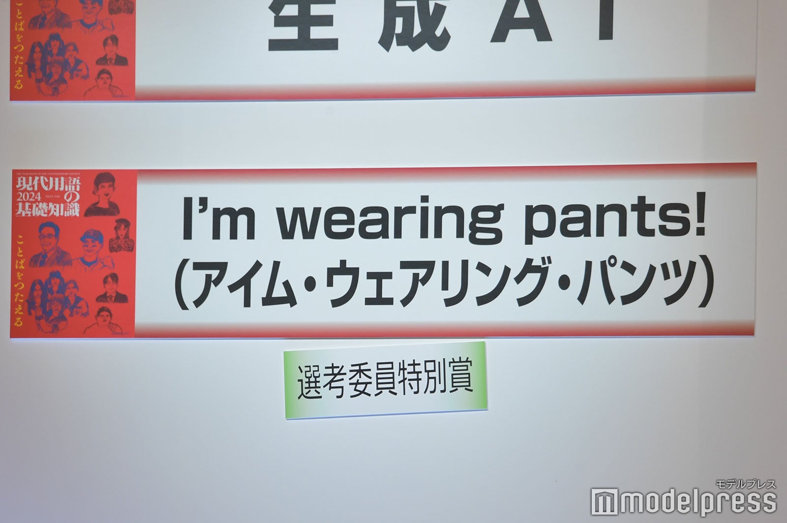 「I’m wearing pants！」が選考委員特別賞を受賞