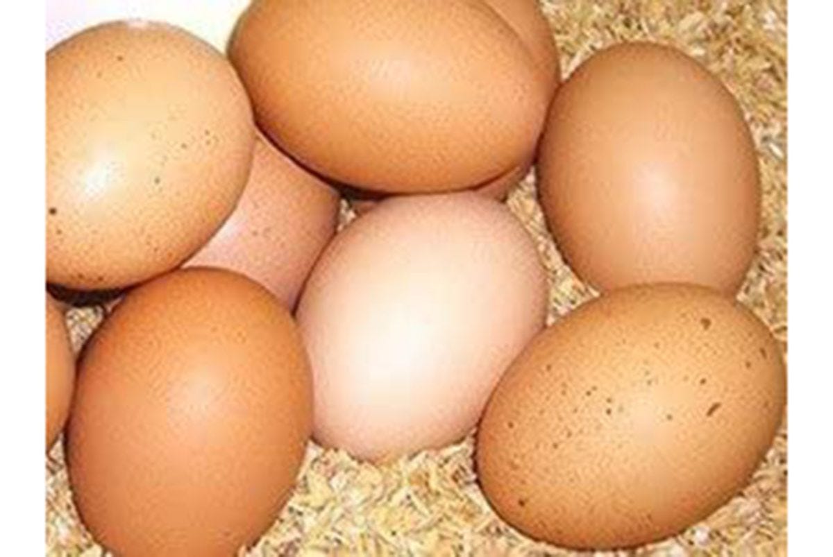 たいようの幸せたまご