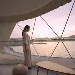 TADAYOI/提供画像