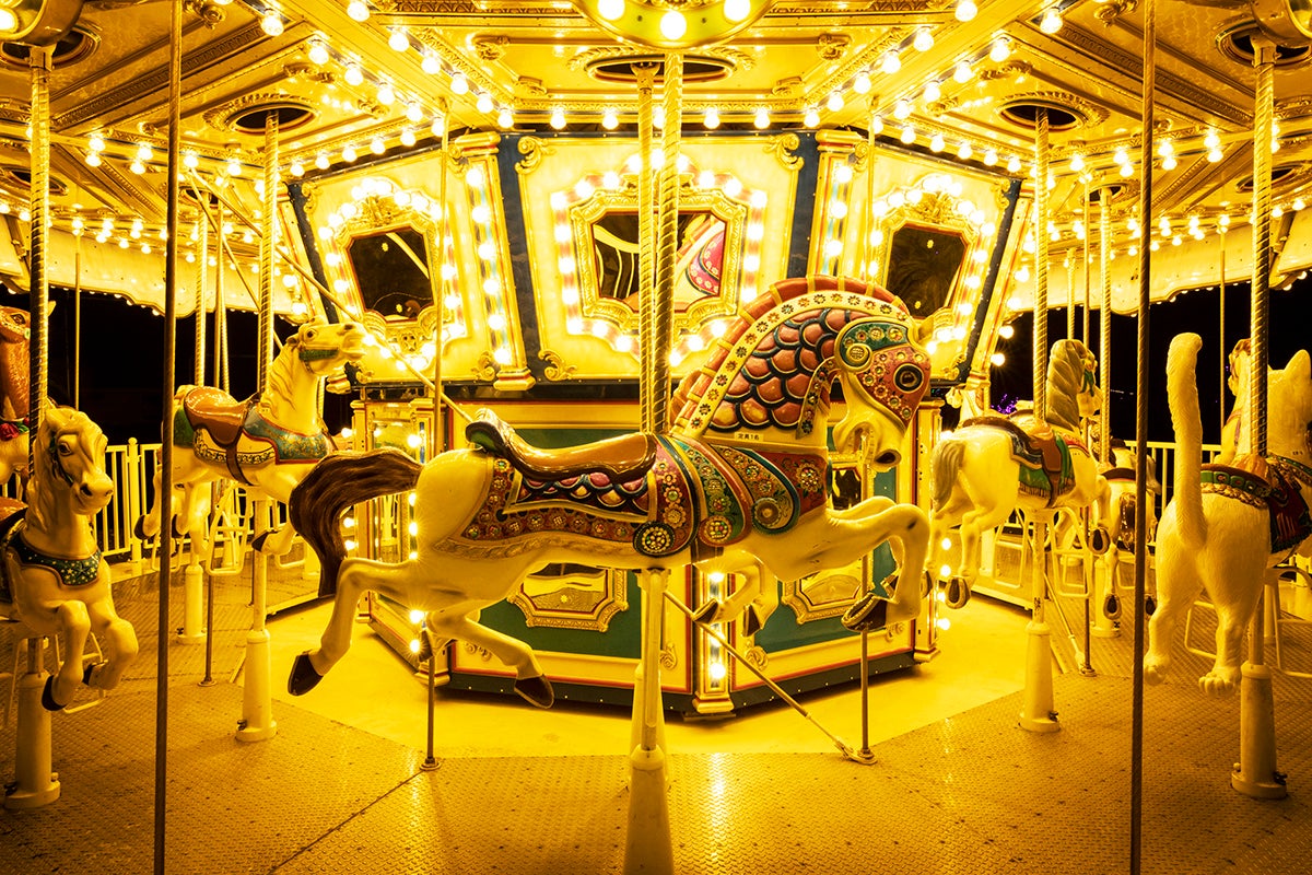 伊豆高原グランイルミ／画像提供：伊豆シャボテン公園