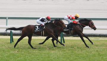 【大寒桜賞】テルヒコウ 悠々逃げ切り2勝目 西村淳「自信を持って乗りました」