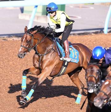 七夕賞3着のオニャンコポンは札幌記念へ 鞍上は未定
