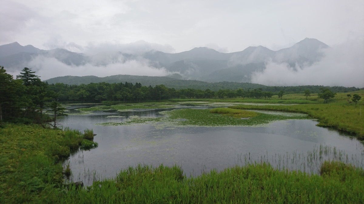 【北海道】知床五湖・一湖（2019年7月撮影）