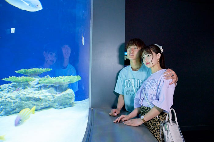 たいしゅう、のあ「恋する◆週末ホームステイ 2021春 Tokyo」第11話(C)AbemaTV, Inc.