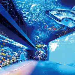 360°大パノラマプロジェクションマッピング／画像提供：仙台うみの杜水族館