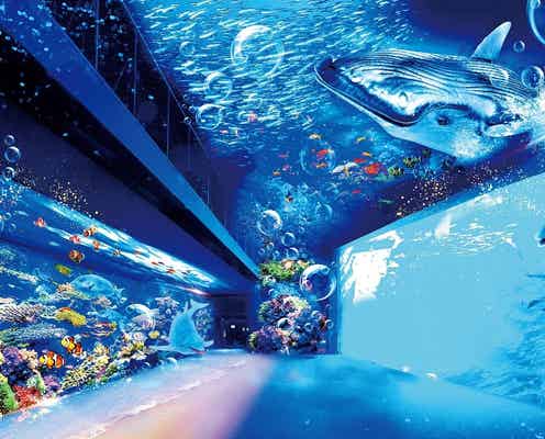 仙台うみの杜水族館、映像×音×海の生きものの巨大デジタル展示が誕生