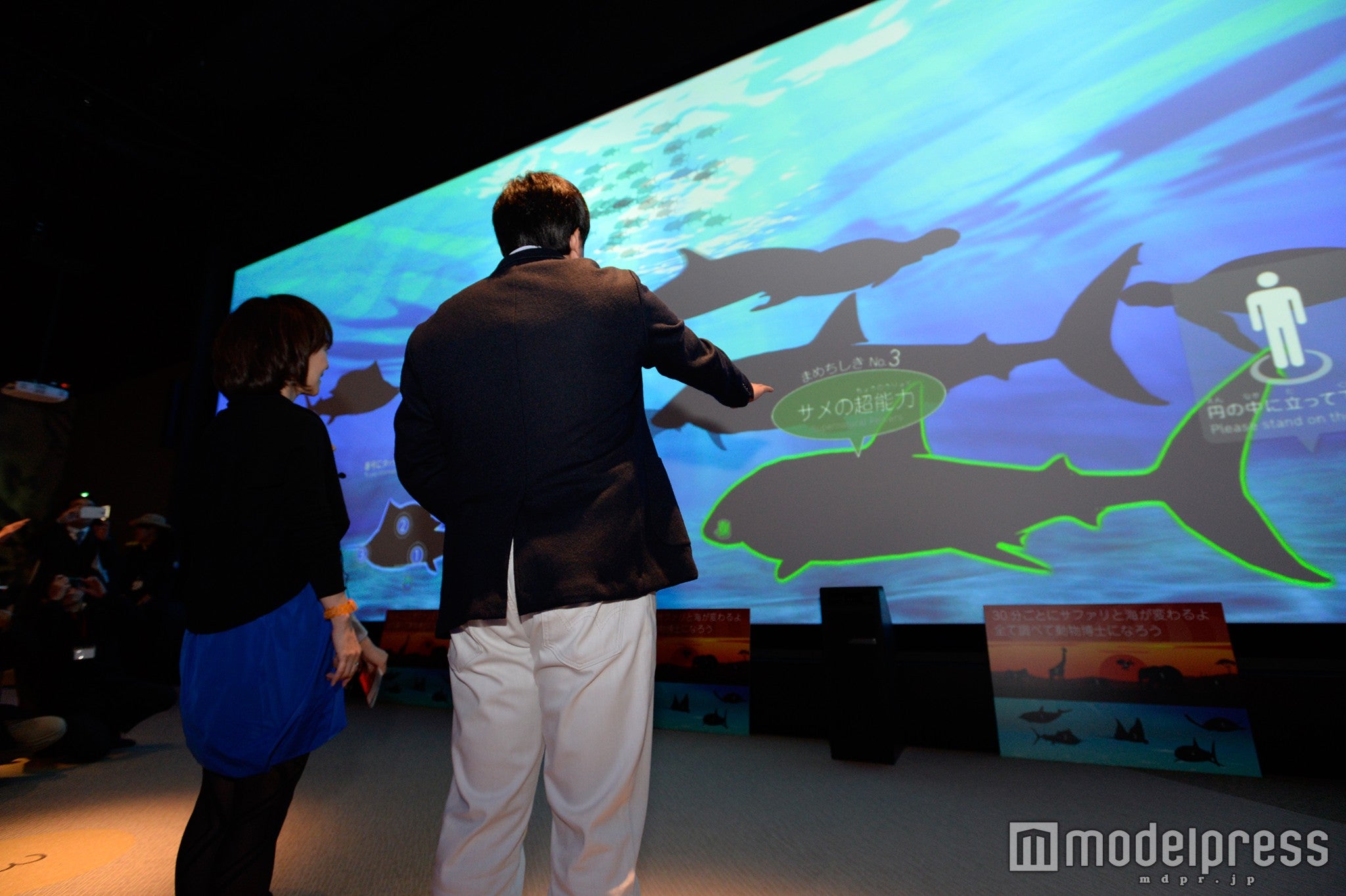 等身大図鑑「アニマルペディア」／画像提供：フェリスウィールインベストメント