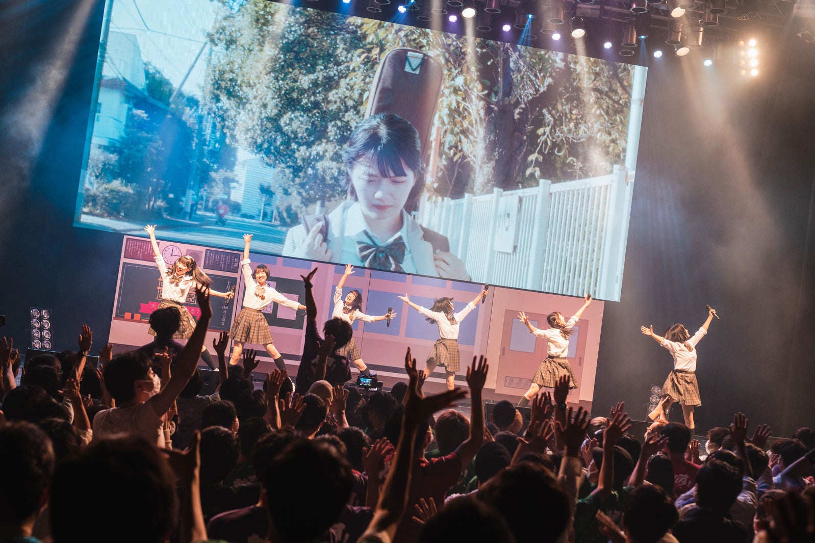 かすみ草とステラ／撮影：真島洸 （提供写真）