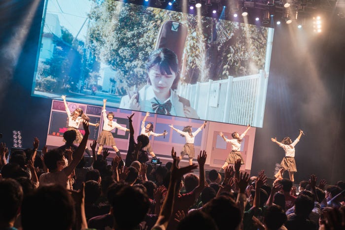 かすみ草とステラ/撮影:真島洸 (提供写真)