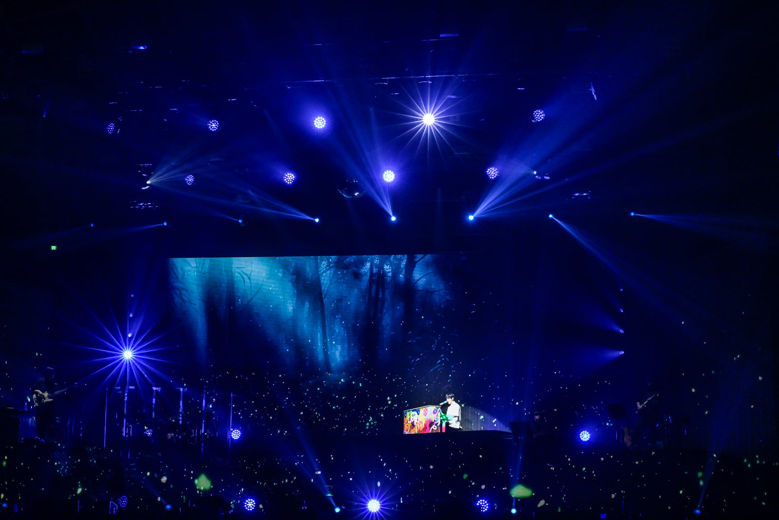 ドヨン（C）田中聖太郎写真事務所