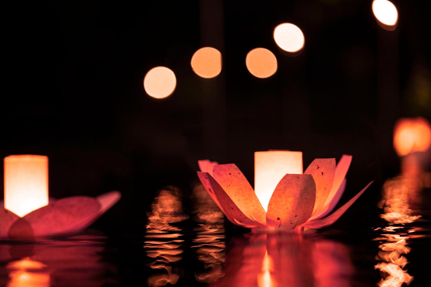 軽井沢 花の宴／画像提供：星野リゾート