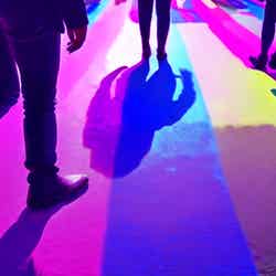 イメージ/提供素材