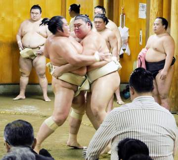 大の里 三番稽古で琴桜を圧倒16勝4敗 1年ぶり復活Vへ順調 下半身がっちり、左差しに納得「久々の東京で優勝したい」