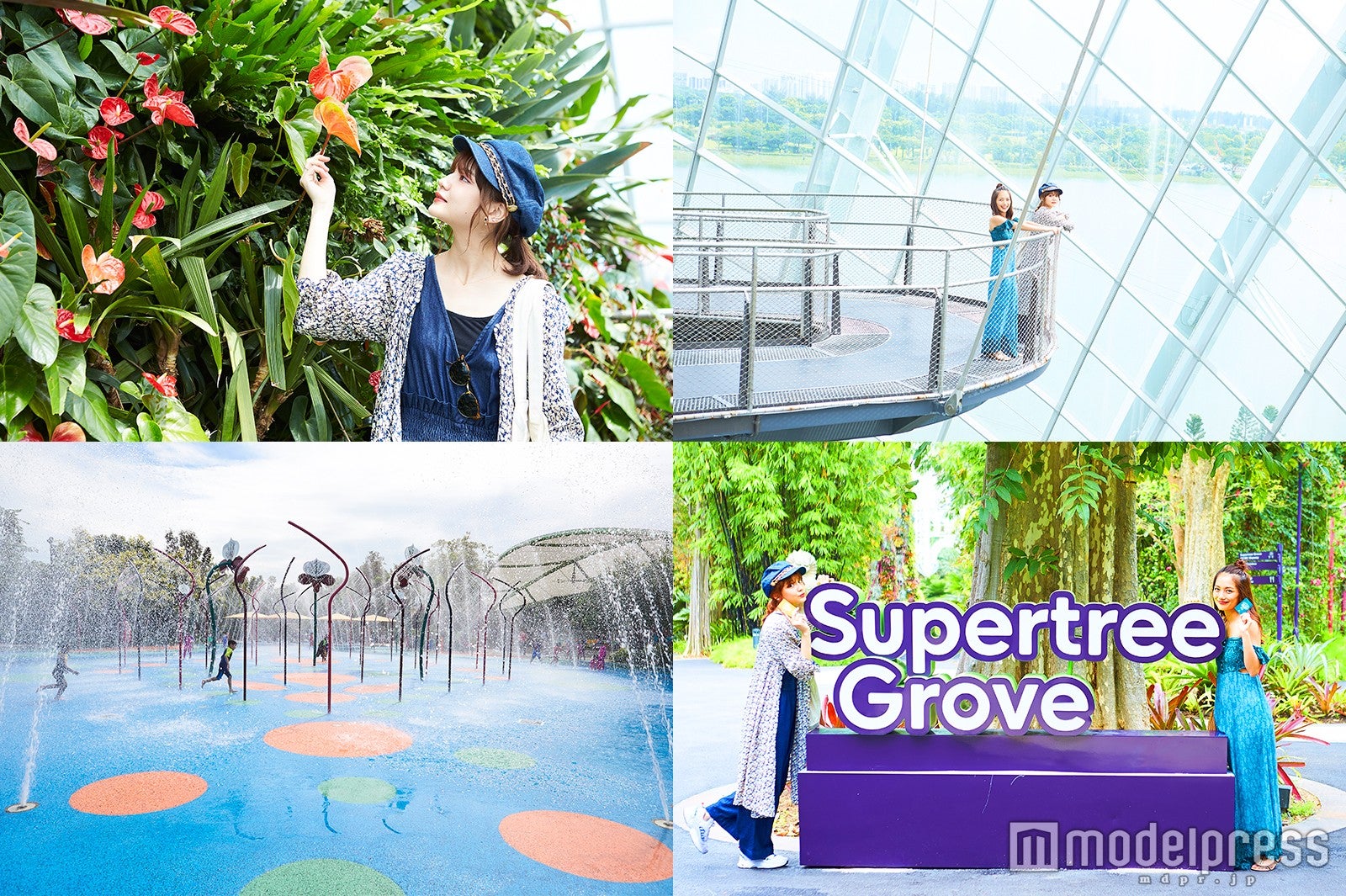 ガーデンズ・バイ・ザ・ベイ（C）モデルプレス