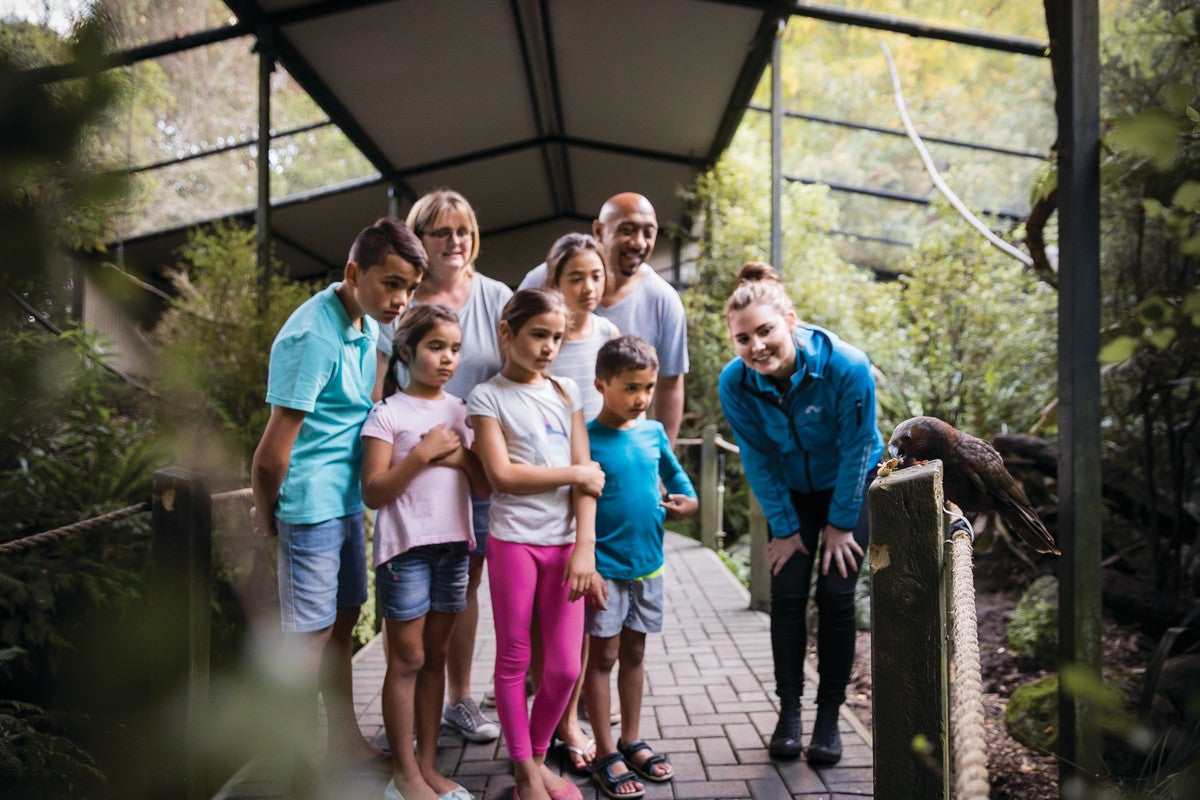 レインボー・スプリングス自然公園（C）Ngai Tahu Tourism