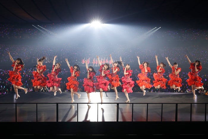 乃木坂46(提供写真)