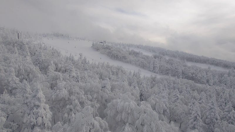 蔵王ロープウェイ山頂線から樹氷原とユートピアゲレンデを見下ろす（2024年1月28日撮影）