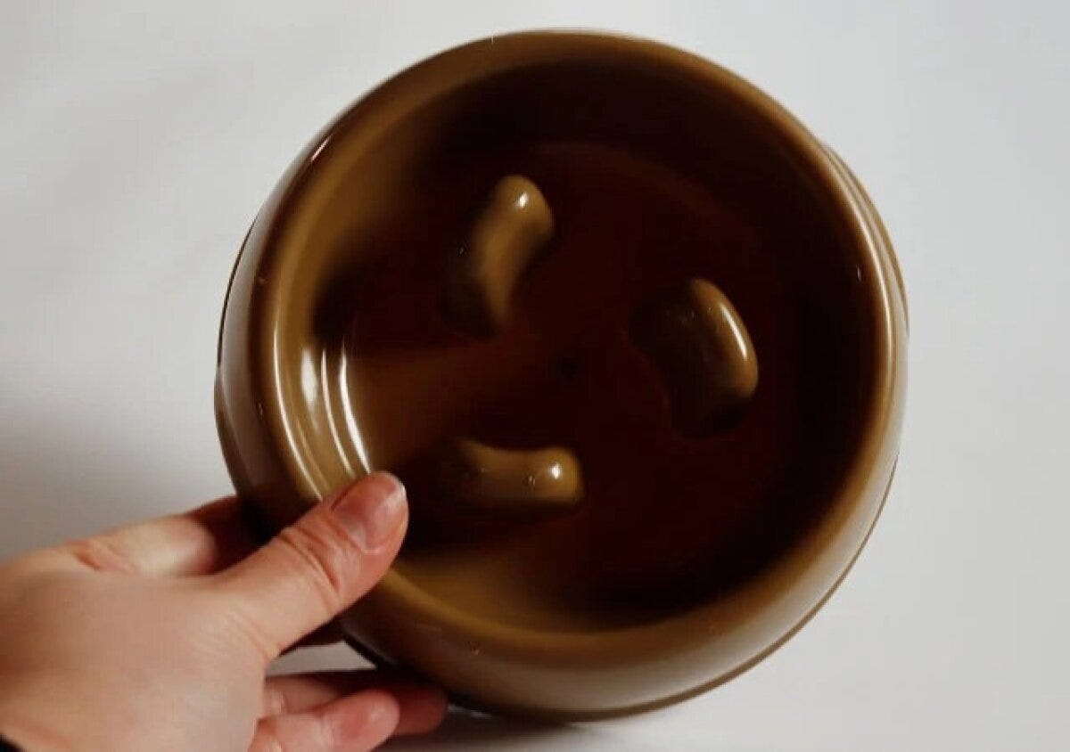 ダイソー　フードボウル（早食い防止）