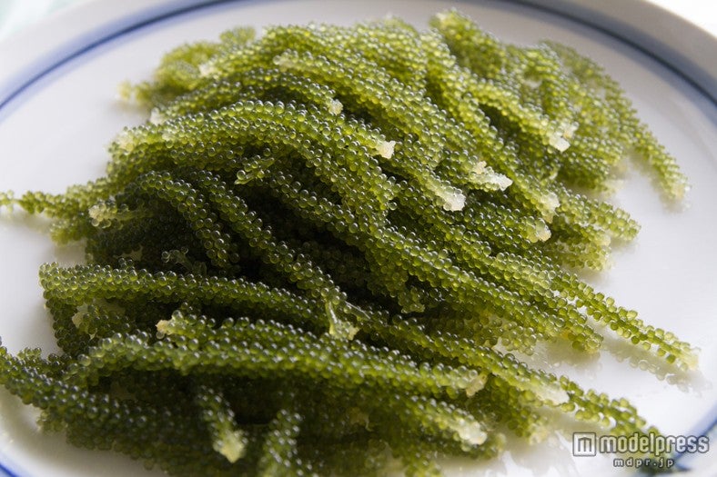 久米島のぷちぷち美味しい海ぶどう