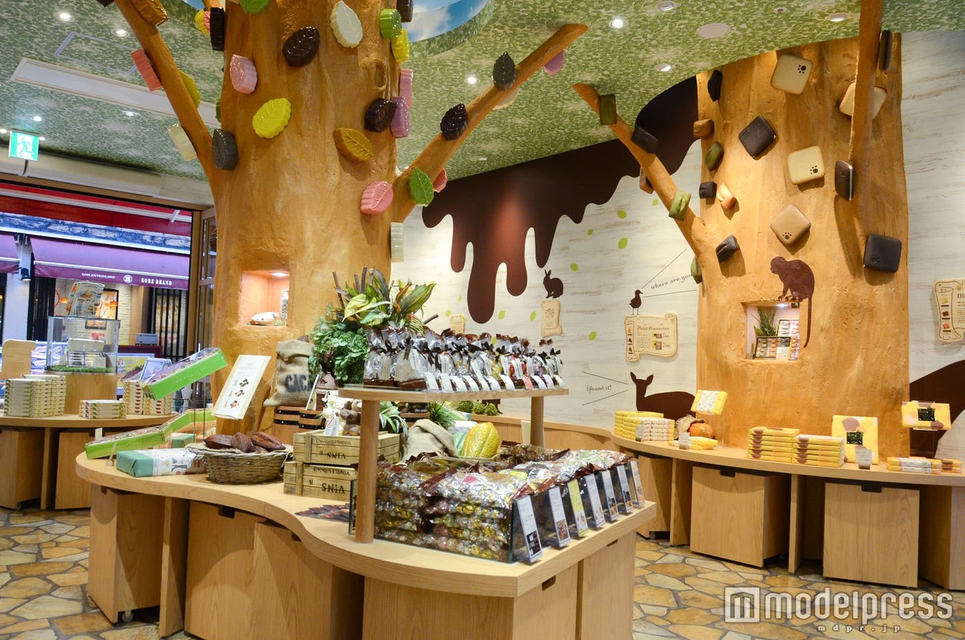 チョコレートの森が広がる店内(C)モデルプレス