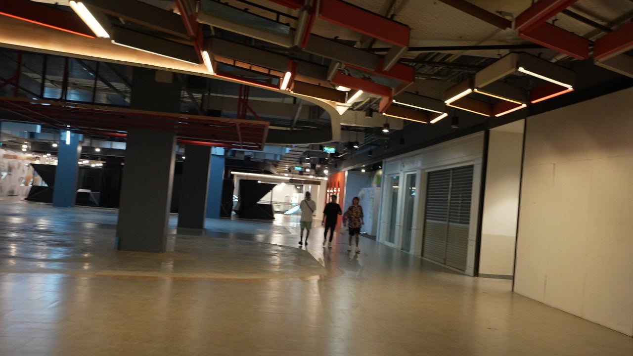 写真提供：レペゼンフォックス