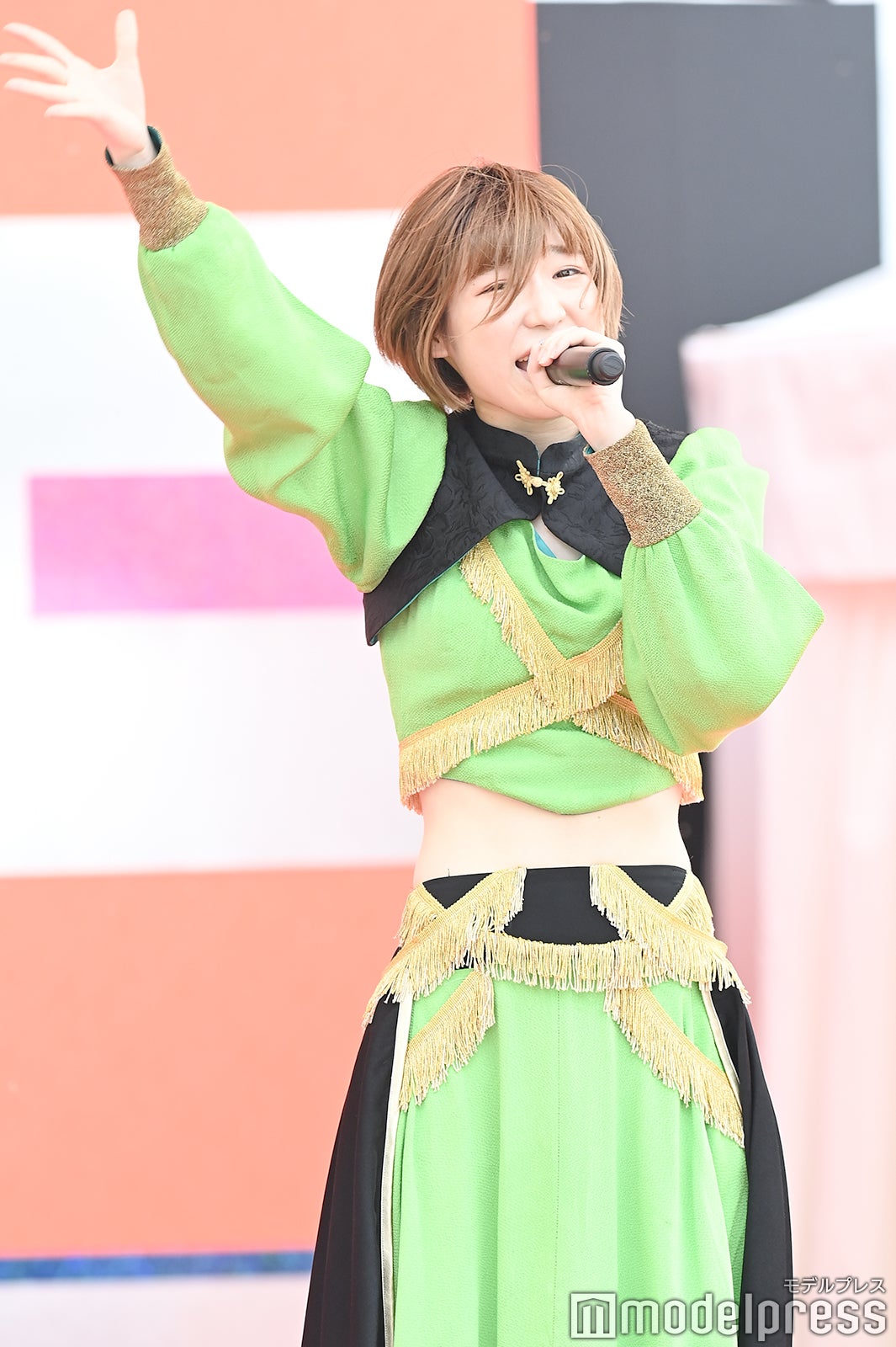 豆柴の大群（C）モデルプレス